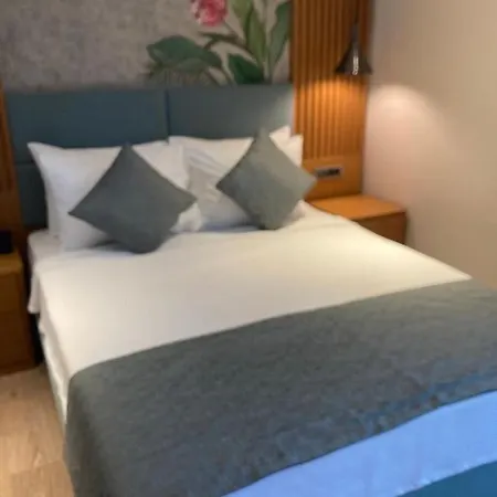 Hotel Palm Hills Bodrum *