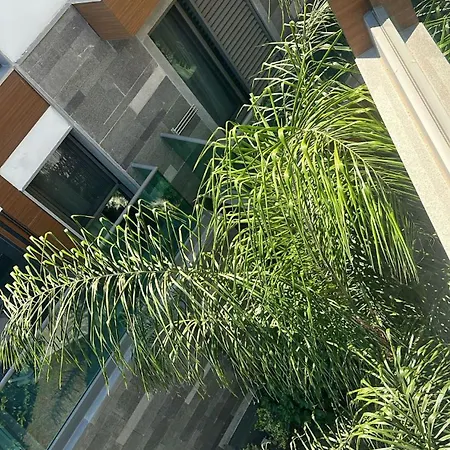 Palm Hills Bodrum Hotell Gündogan