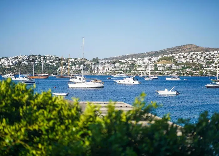 Palm Hills Bodrum Szálloda Gündoğan