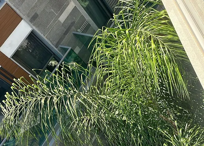 Palm Hills Bodrum Szálloda Gündoğan